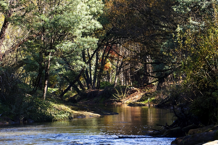 Country StreamPhotography by Judy Hofmeyer